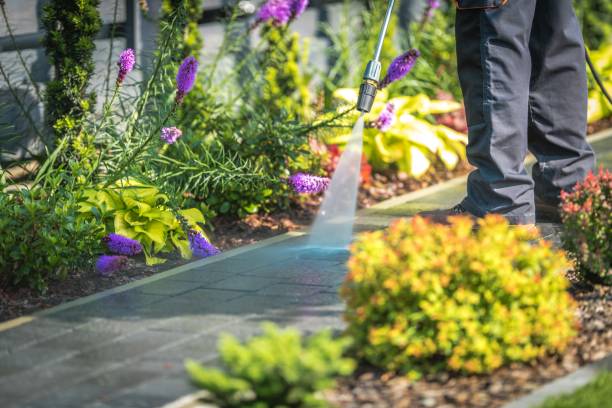 Professional Pressure Washing Services in Lemon Grove, CA