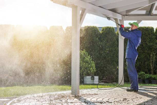 Best Driveway Pressure Washing  in Lemon Grove, CA