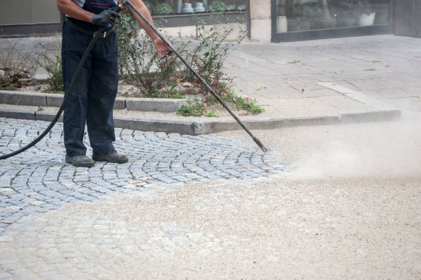 Best Oil Spill Cleanup  in Lemon Grove, CA