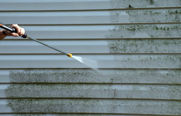 Best Patio and Deck Pressure Washing  in Lemon Grove, CA