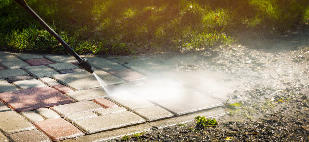 Best Sidewalk and Walkway Cleaning  in Lemon Grove, CA